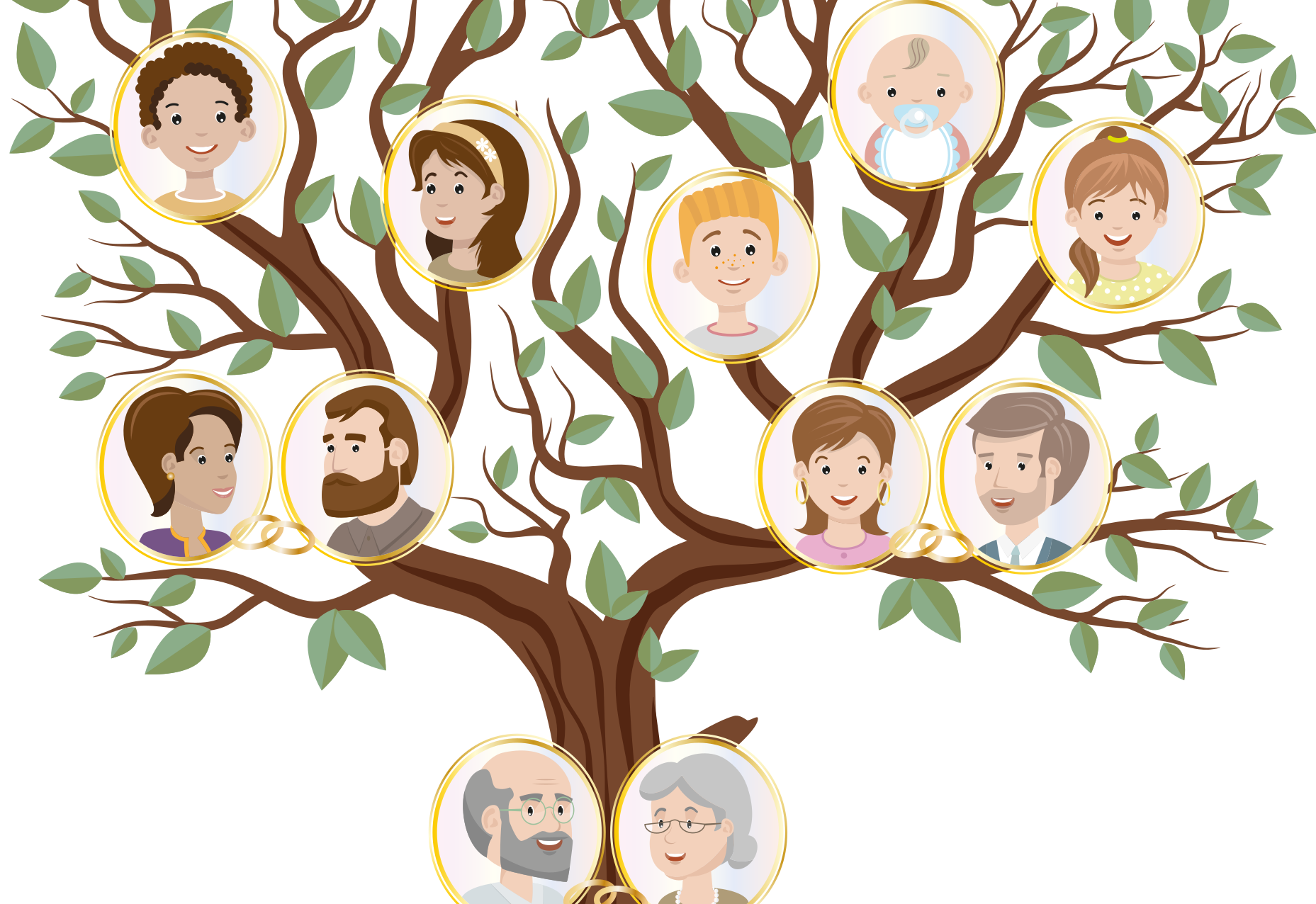The genealogical tree: a tool to know our roots
