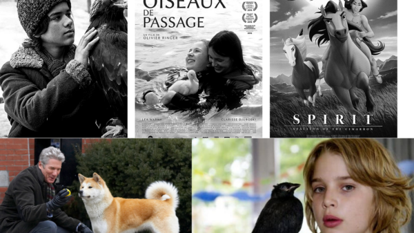 películas que enseñan respeto a los animales