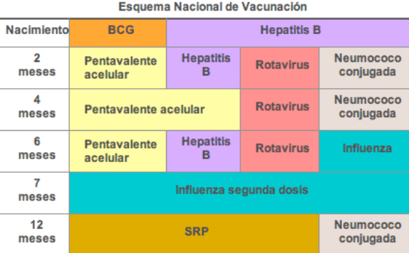 Vaccines in the first 12 months of life. Photo: Screenshot of the Ministry of Health.