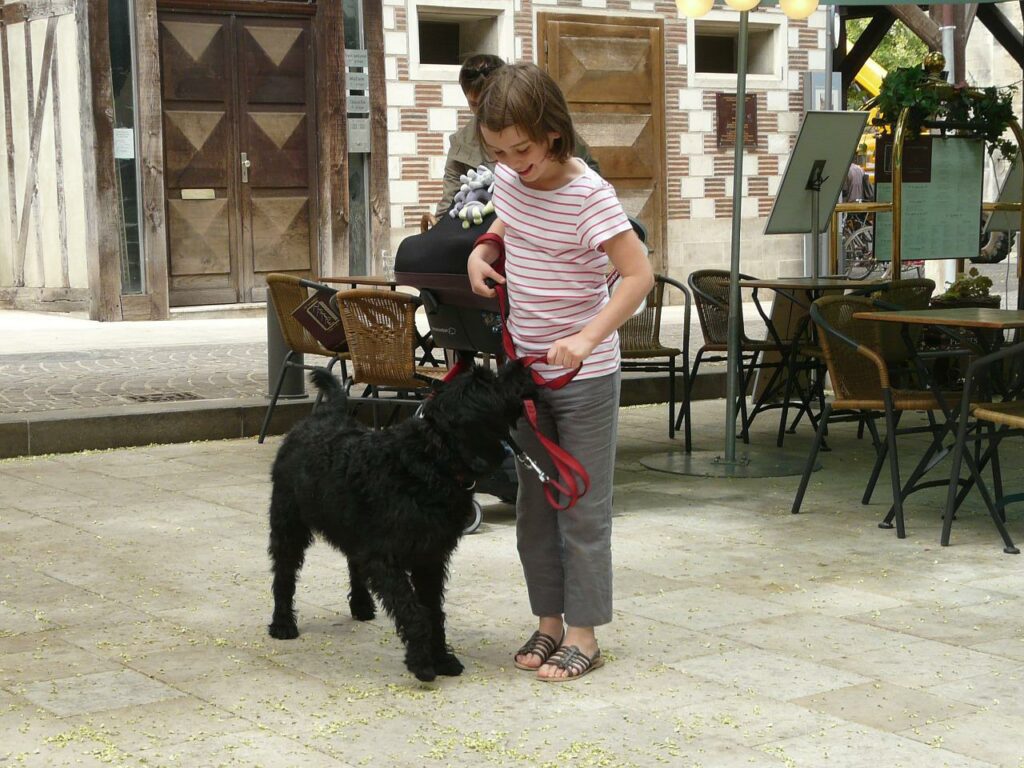 niña con perro