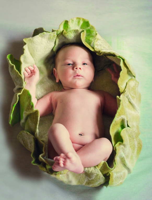 Los nombres para bebés inspirados en la naturaleza se han vuelto populares gracias al movimiento orgánico y pro ambiental.  Foto: PxHere