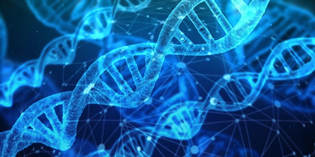 Estructura del ADN, portador de la información genética.
