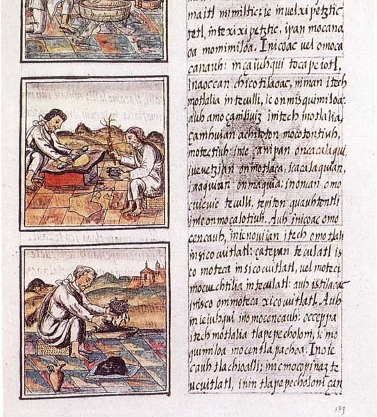 Códice Florentio de medicina prehispánica.